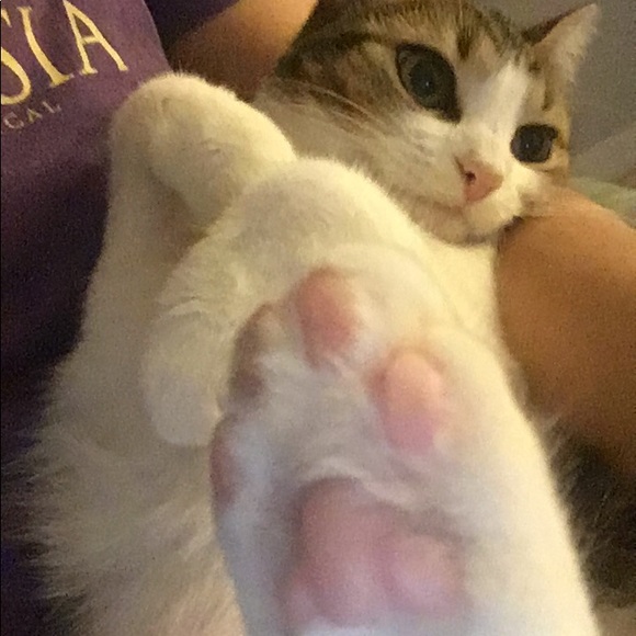 Meet your Posher, Estefania - Picture 2 of 3